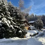 Meleze - - La Massouderie Chalet Les Gets