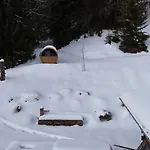 Meleze - - La Massouderie *