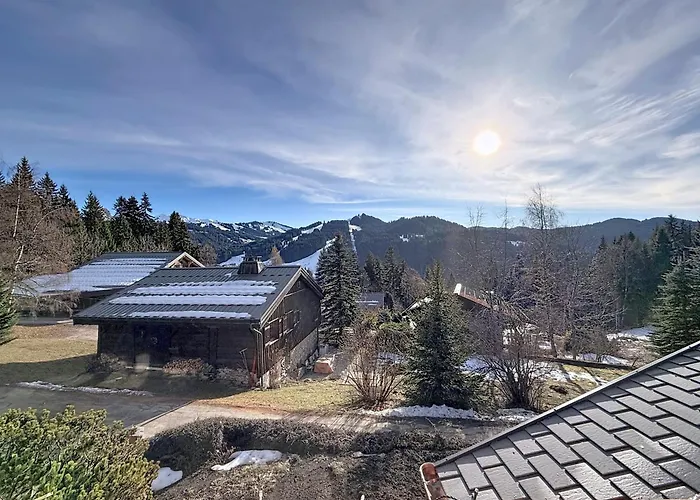 Meleze - - La Massouderie Chalet Les Gets