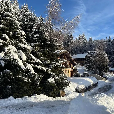 Meleze - - La Massouderie Chalet Les Gets