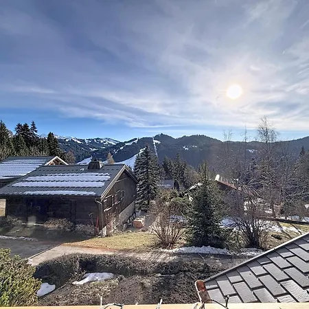 Meleze - - La Massouderie Chalet Les Gets