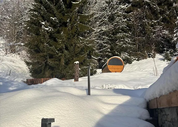 Chalet Meleze - - La Massouderie