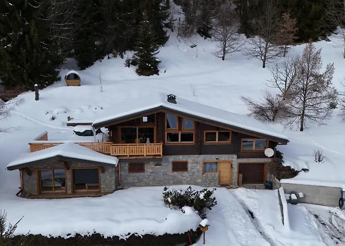Meleze - - La Massouderie Chalet Les Gets