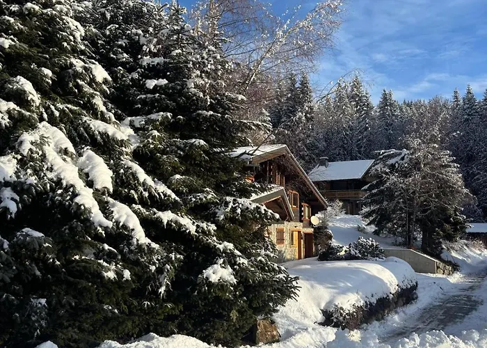 Meleze - - La Massouderie Chalet Les Gets